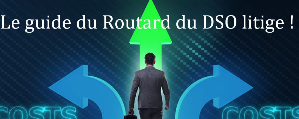 Evénement AFDCC : le guide du Routard du DSO Litiges