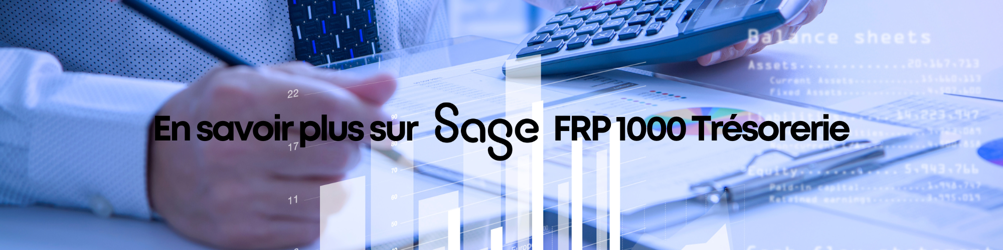 En savoir plus sur Sage FRP 1000 Trésorerie