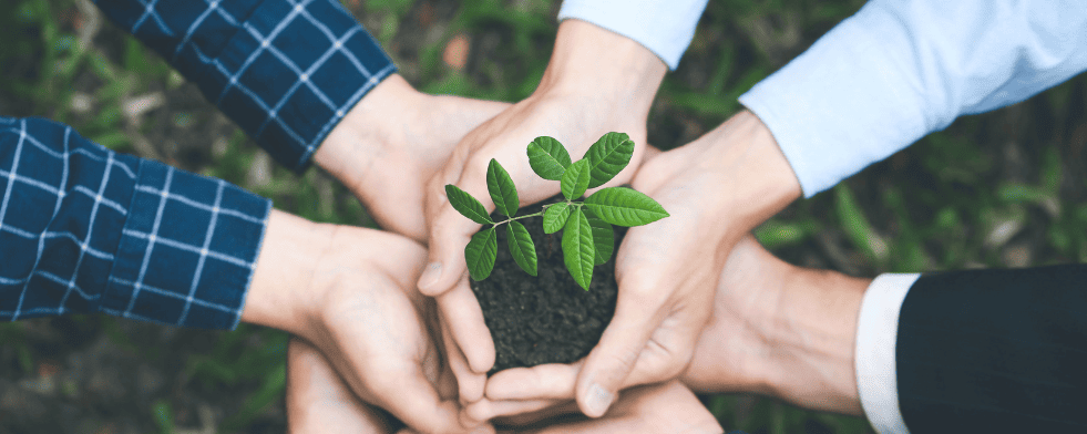 RSE et biodiversité : Finopsys passe à l’action !