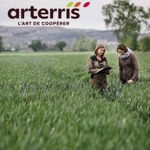ARTERRIS