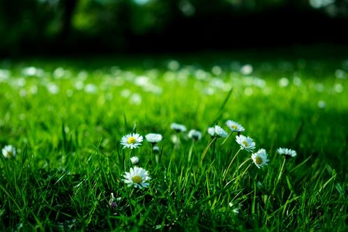 Critères ESG : où en sont les PME & ETI ?
