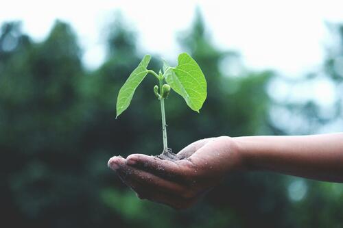 Greenwashing, un danger pour les entreprises qui le pratiquent.